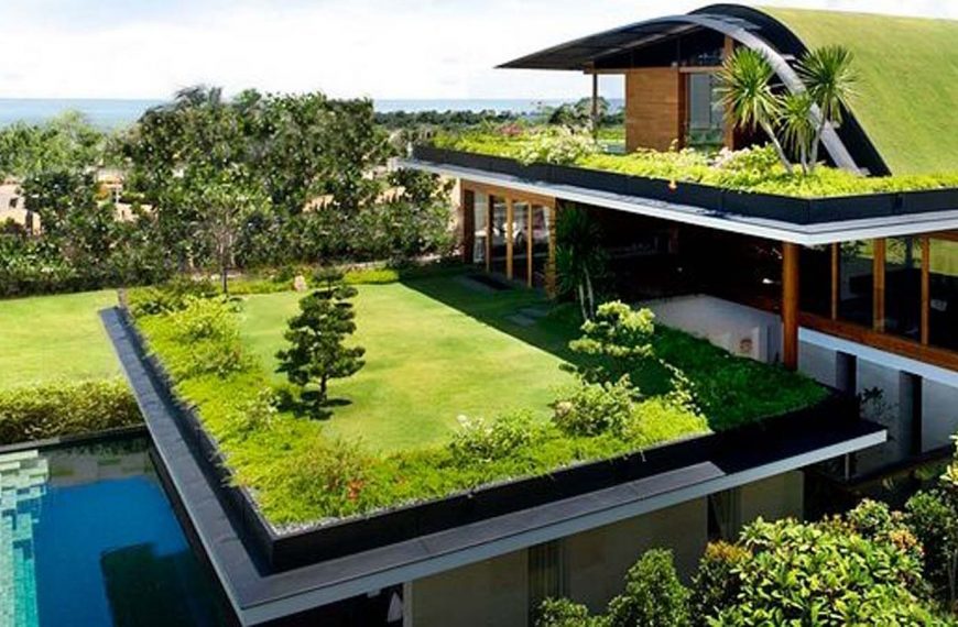 domotej techos y azoteas verdes